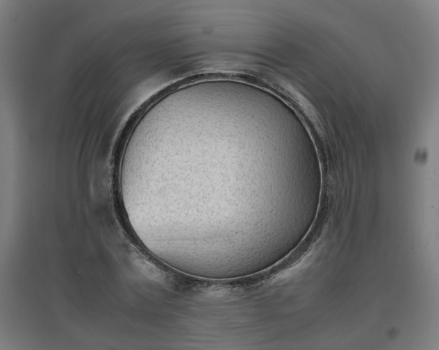 X0000094970779200712061427