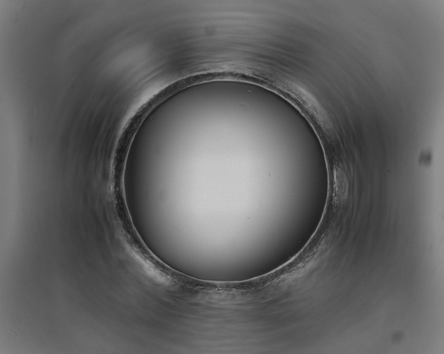 X0000094970780200712061427