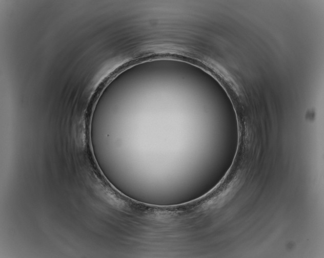 X0000094970782200712061427