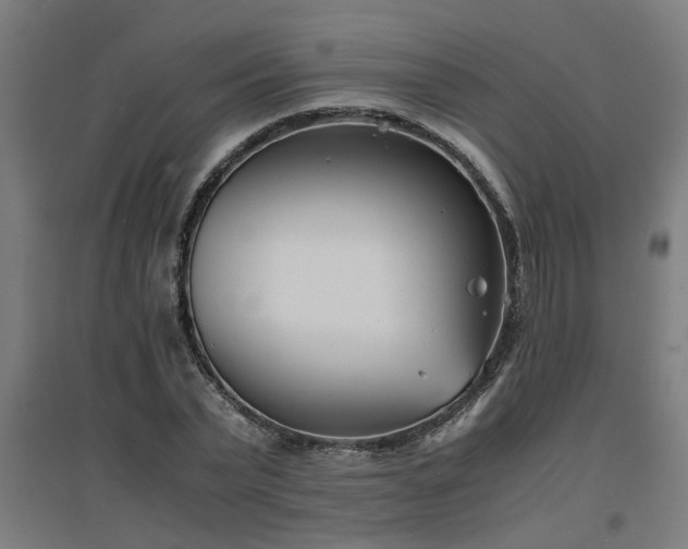 X0000094970783200712061427