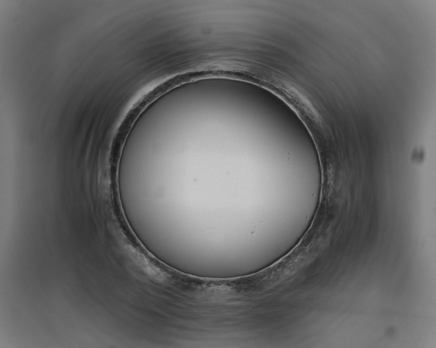 X0000094970784200712061427