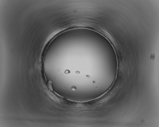 X0000094970787200712061427