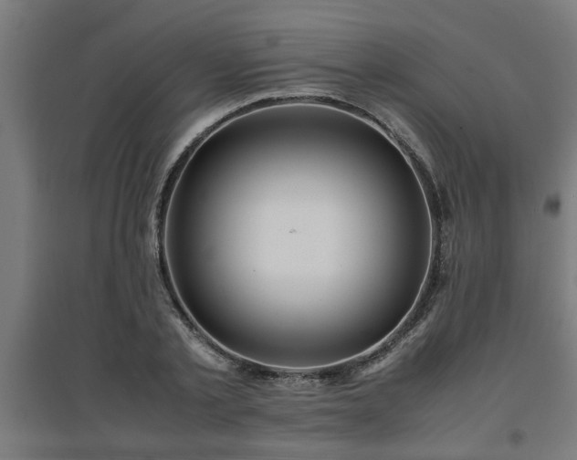 X0000094970789200712061427