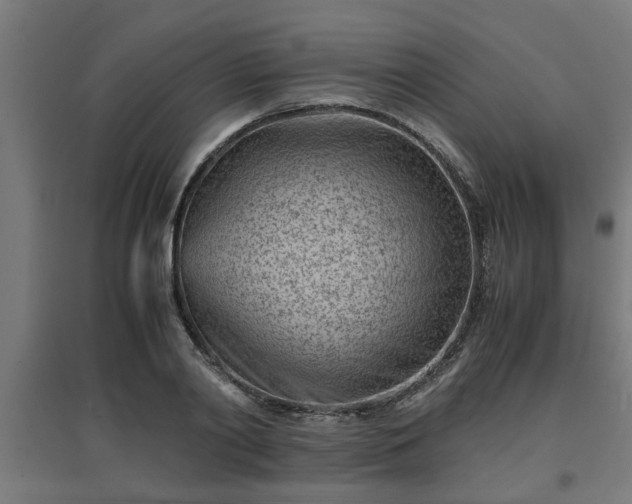 X0000094970790200712061427