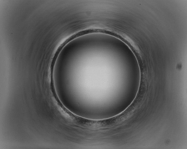 X0000094970791200712061427