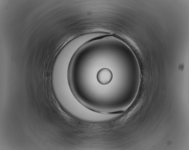 X0000094970793200712061427