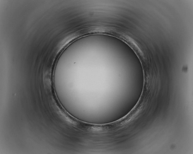 X0000094970794200712061427