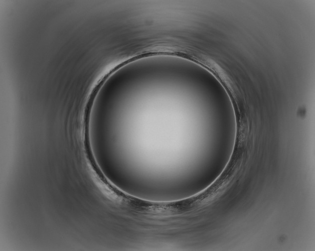 X0000094970795200712061427