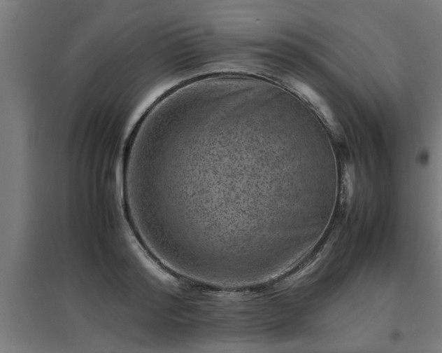 X0000094970796200712061427