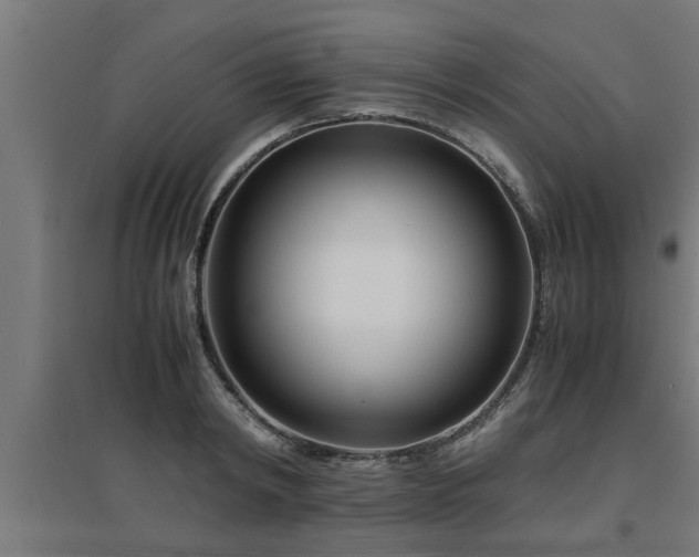 X0000094970798200712061427