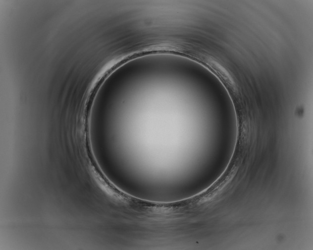 X0000094970800200712061427