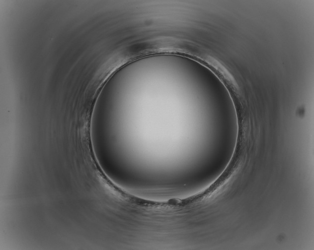 X0000094970801200712061427