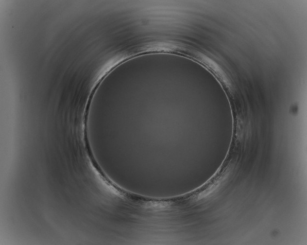 X0000094970802200712061427