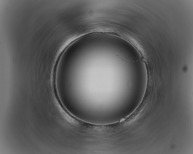 X0000094970803200712061427