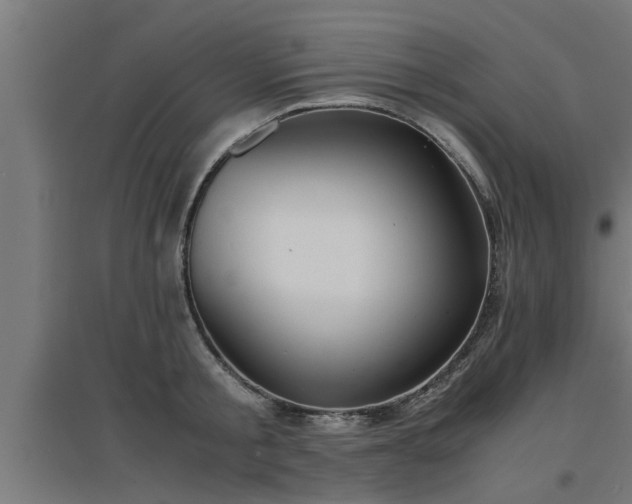 X0000094970805200712061427