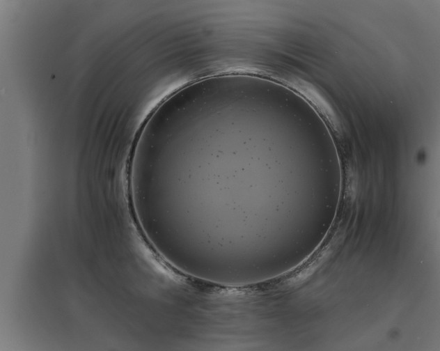 X0000094970806200712061427