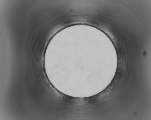 X0000094970807200712061427