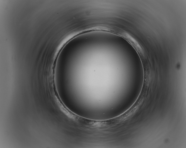 X0000094970808200712061427