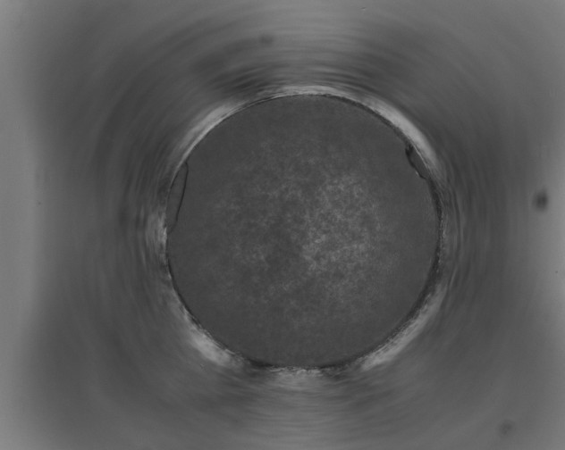 X0000094970809200712061426