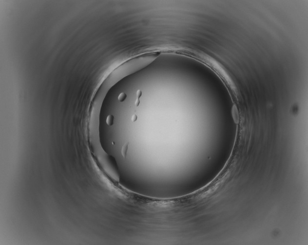 X0000094970810200712061426