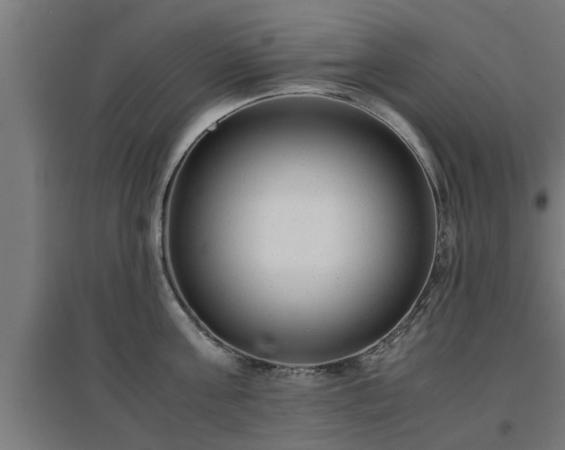 X0000094970811200712061426