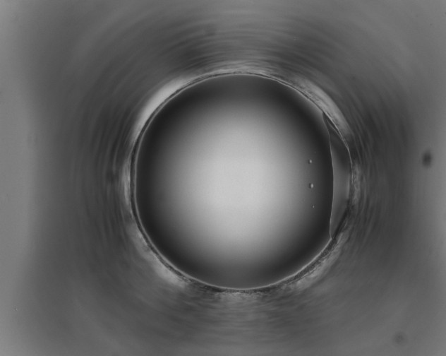 X0000094970812200712061426