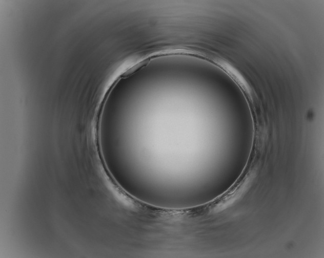 X0000094970813200712061426