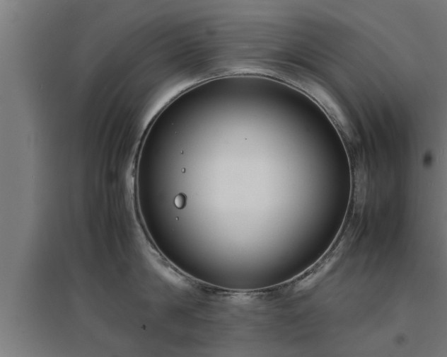 X0000094970814200712061426