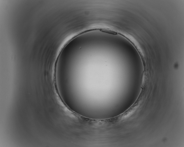 X0000094970815200712061426