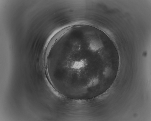 X0000094970816200712061426