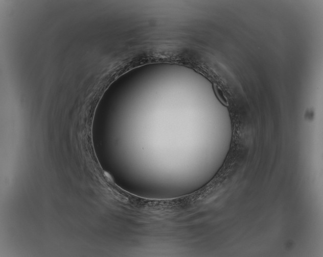 X0000094970817200712061426