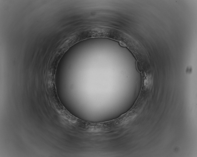 X0000094970819200712061426