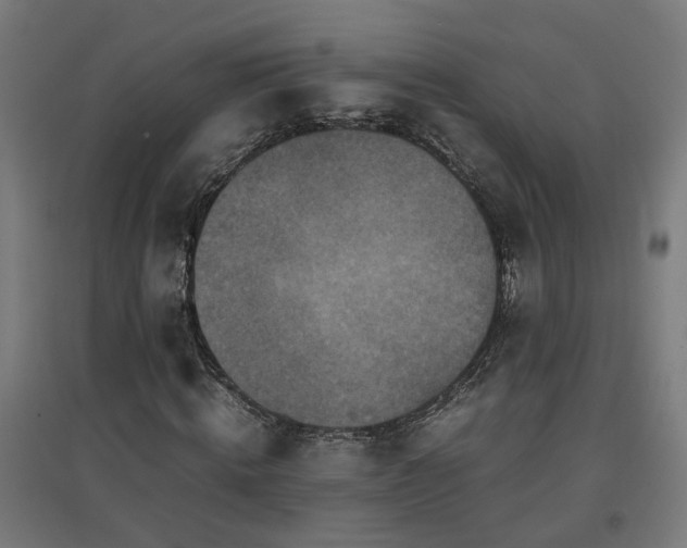 X0000094970820200712061426