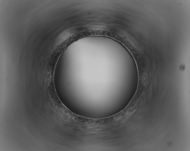 X0000094970821200712061426