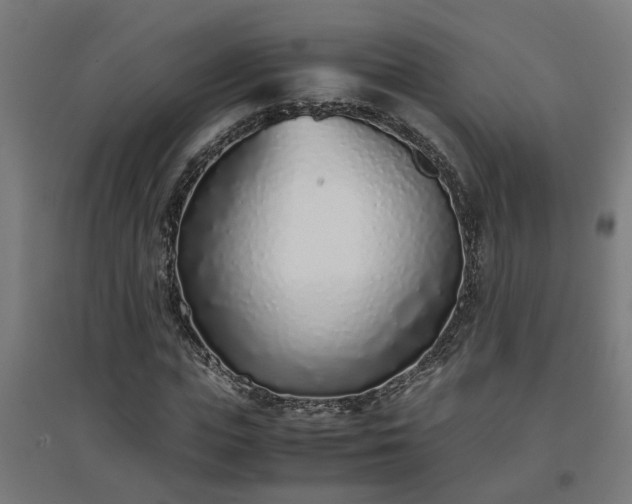 X0000094970823200712061426