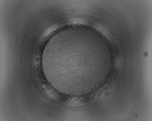 X0000094970824200712061426