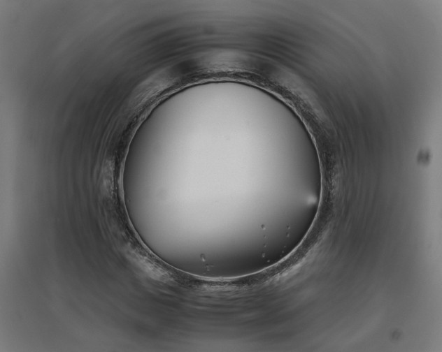 X0000094970825200712061426