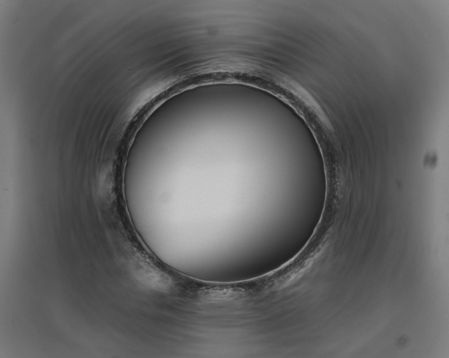 X0000094970826200712061426