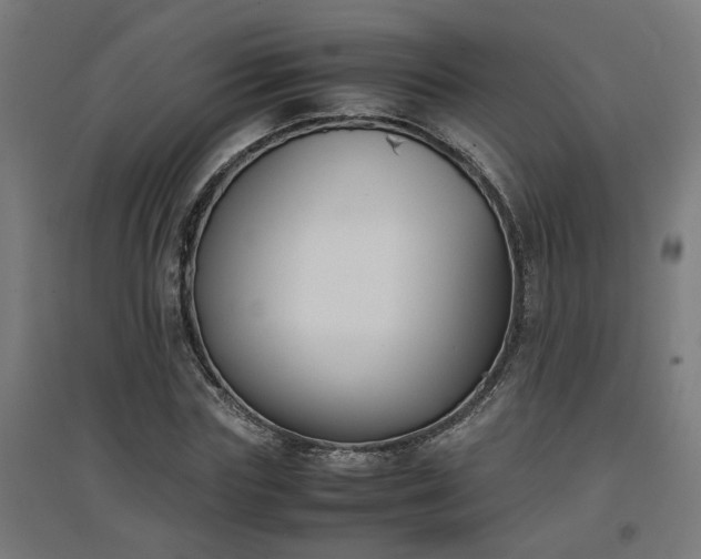 X0000094970827200712061426