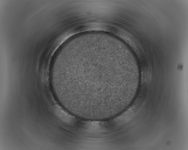 X0000094970828200712061426