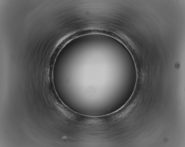 X0000094970830200712061426