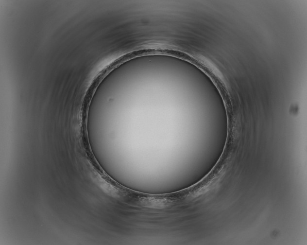 X0000094970831200712061426