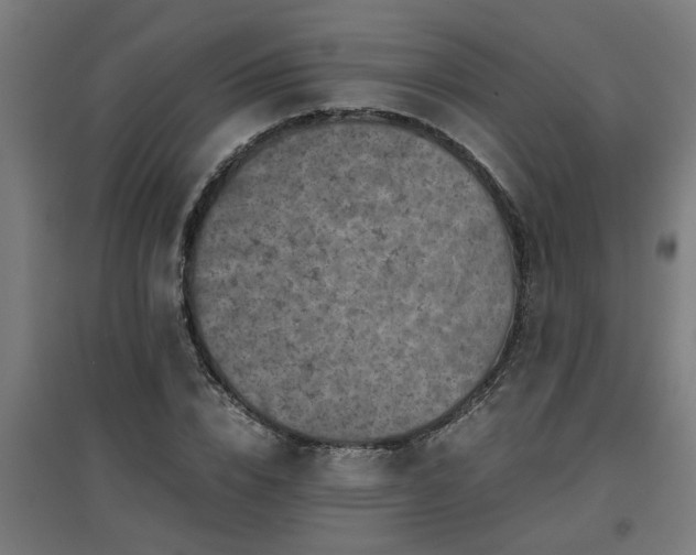 X0000094970832200712061426