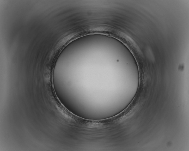 X0000094970833200712061426