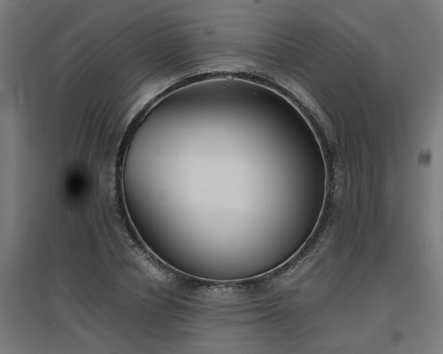 X0000094970834200712061426