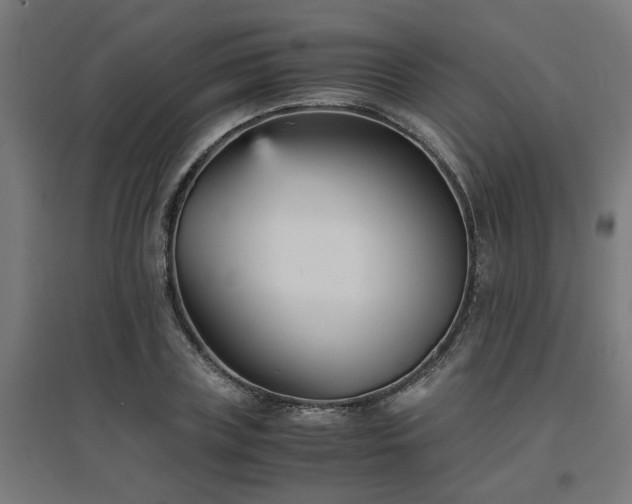 X0000094970835200712061426