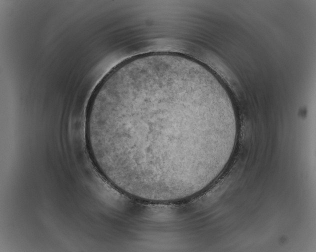 X0000094970836200712061426