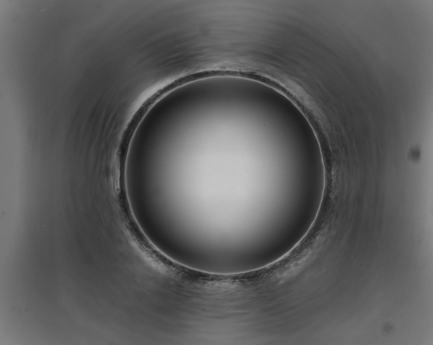 X0000094970838200712061426