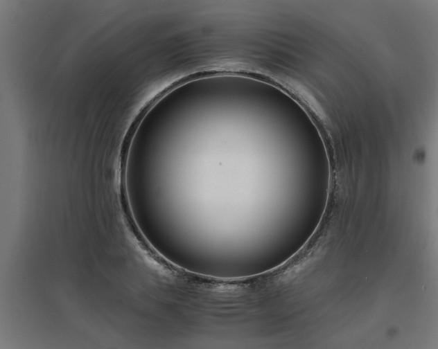 X0000094970839200712061426