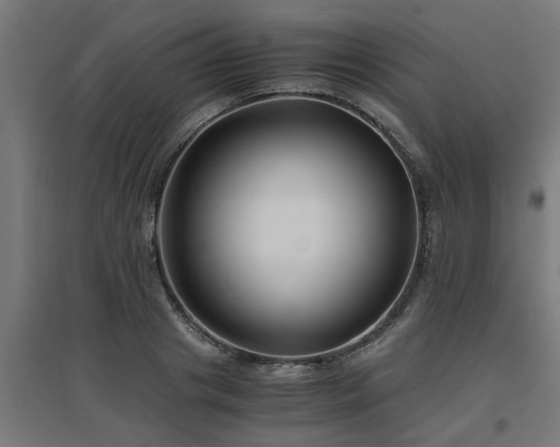 X0000094970841200712061426